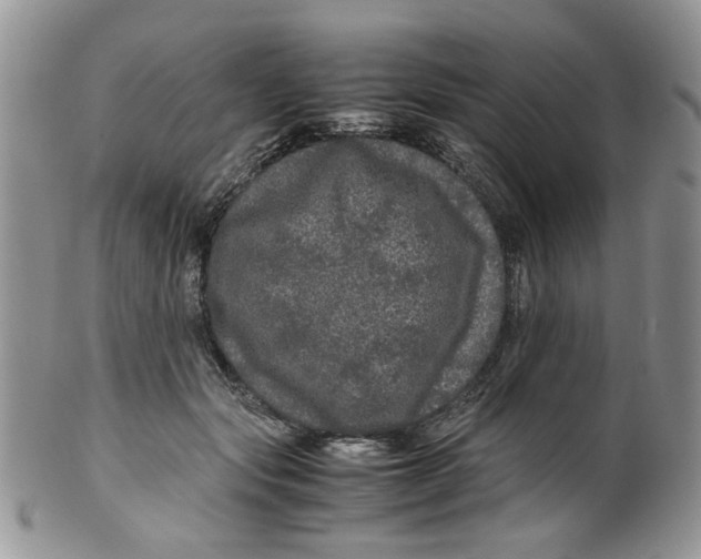 X0000099490557200806051101