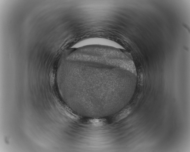 X0000099490558200806051101