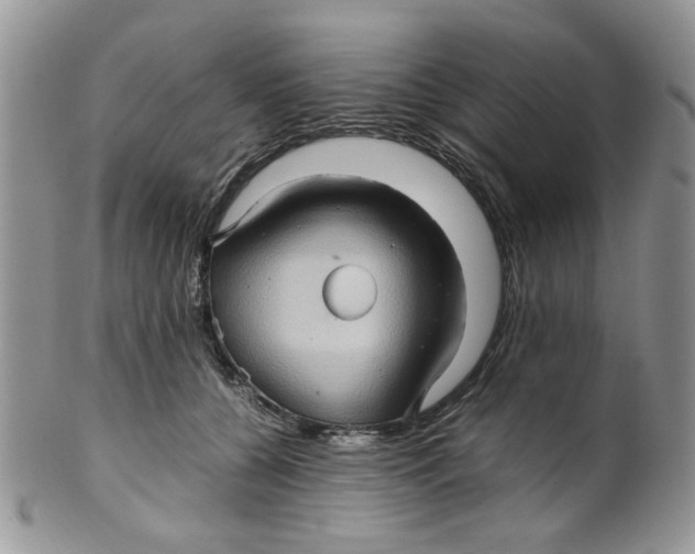 X0000099490560200806051101