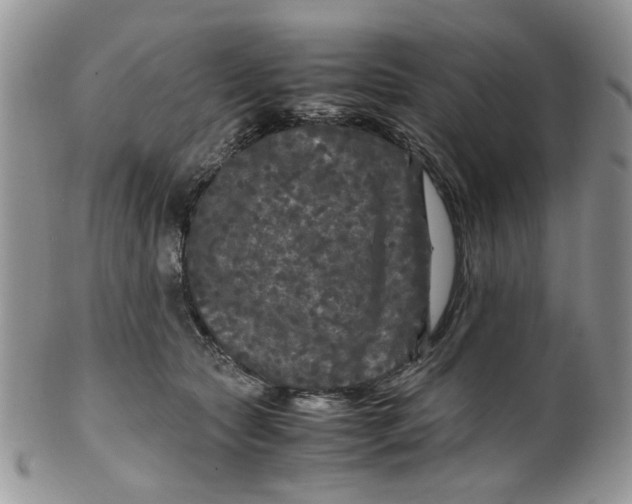 X0000099490561200806051101