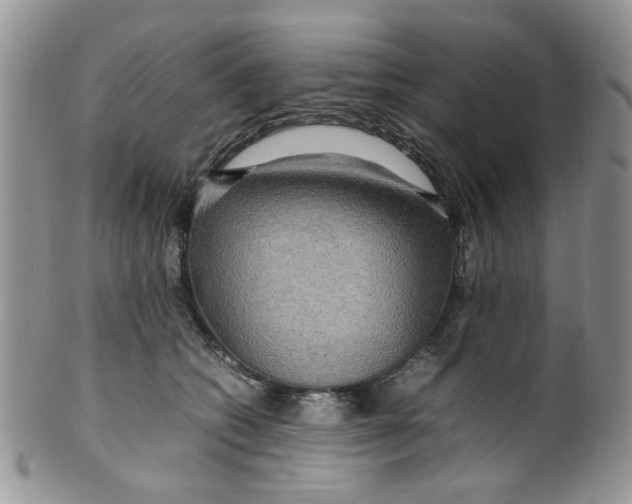 X0000099490562200806051101