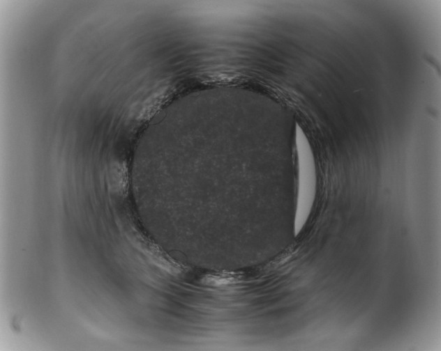 X0000099490563200806051101