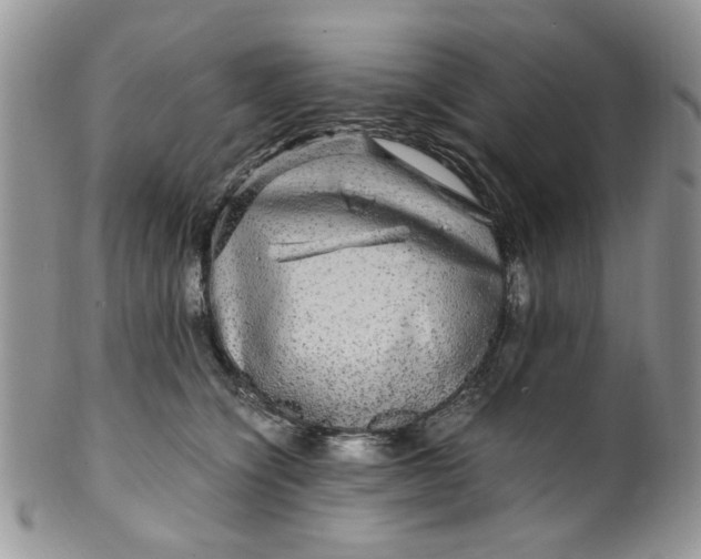 X0000099490564200806051101