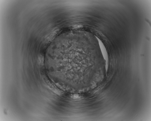 X0000099490565200806051101