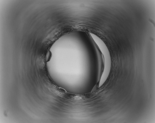 X0000099490566200806051101