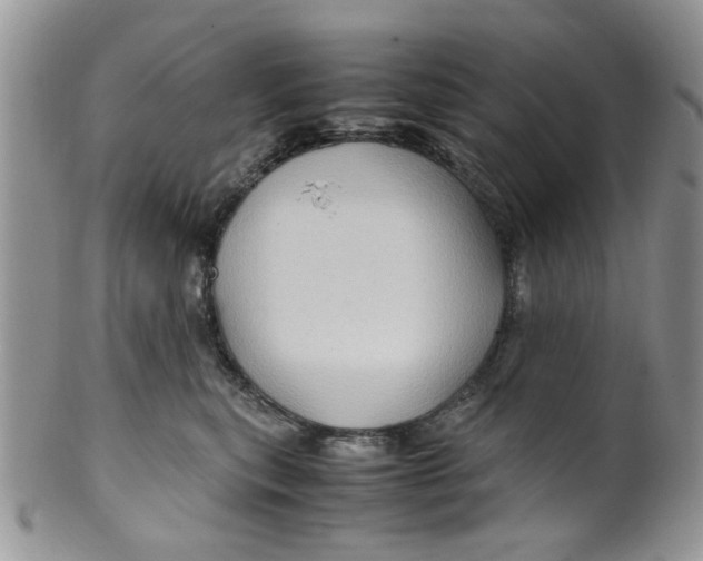 X0000099490567200806051101