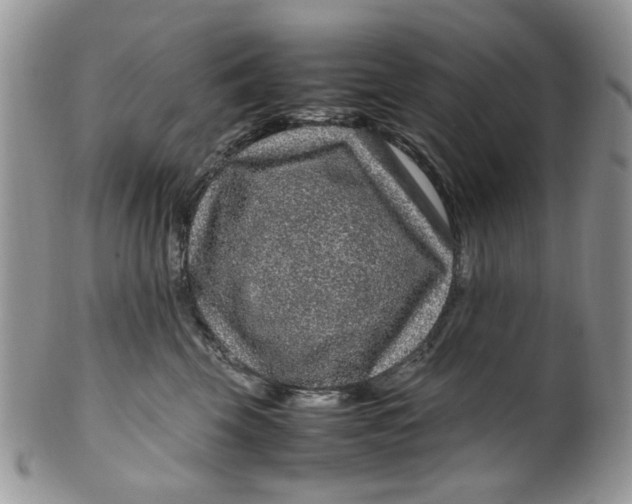 X0000099490569200806051101