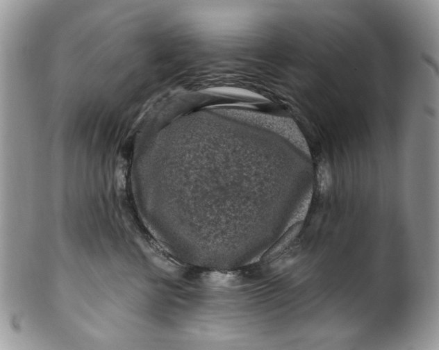 X0000099490570200806051101