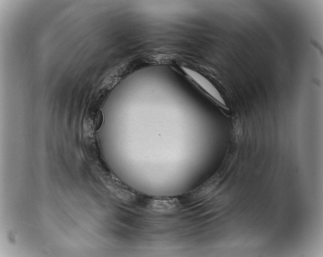 X0000099490571200806051101