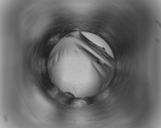 X0000099490572200806051101