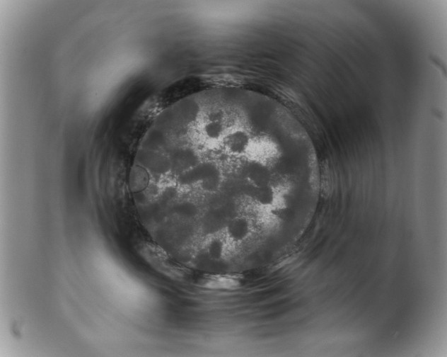 X0000099490573200806051101