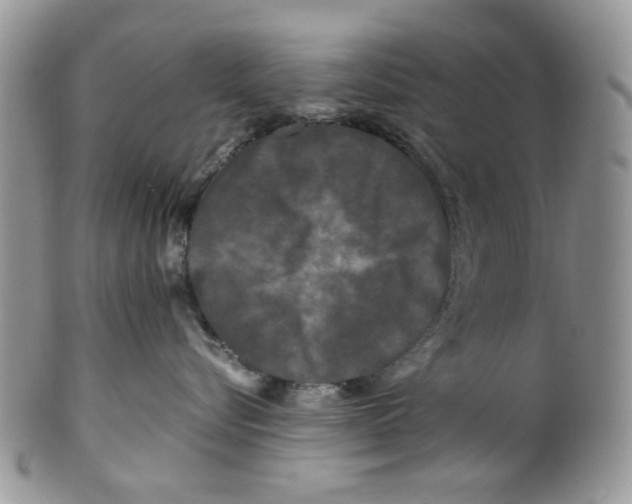 X0000099490576200806051101