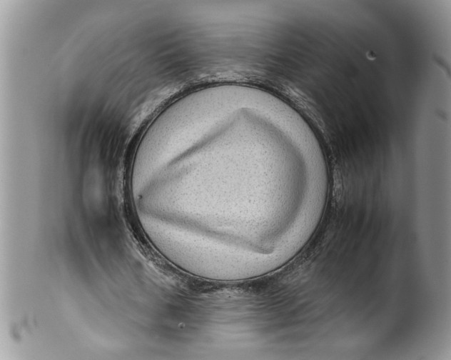 X0000099490578200806051101