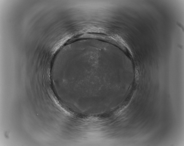 X0000099490581200806051101