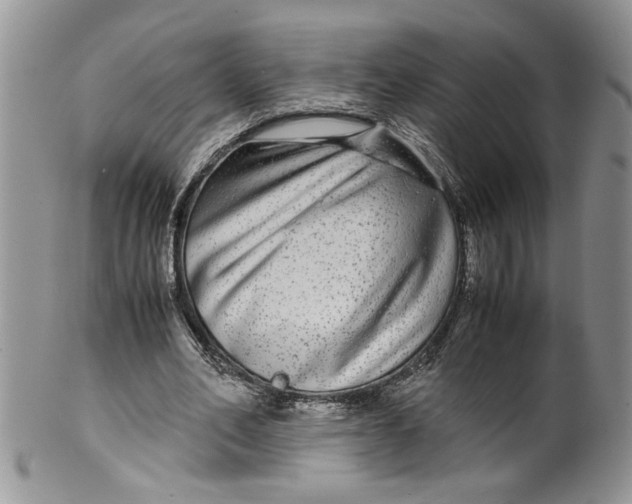 X0000099490582200806051101