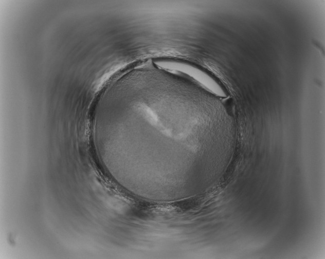 X0000099490583200806051101