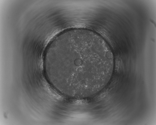 X0000099490584200806051101