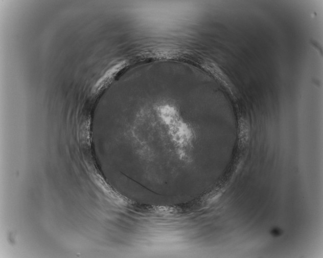 X0000099490585200806051101