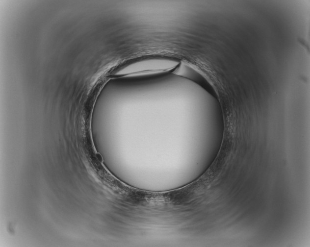 X0000099490587200806051101