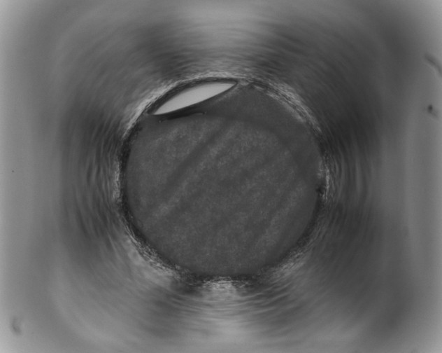 X0000099490588200806051101