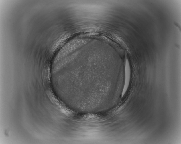 X0000099490589200806051101