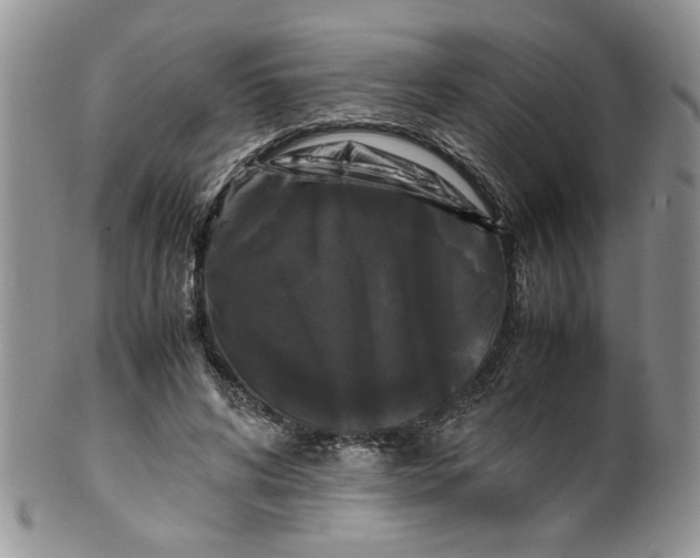 X0000099490592200806051100