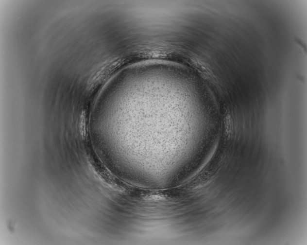 X0000099490594200806051100