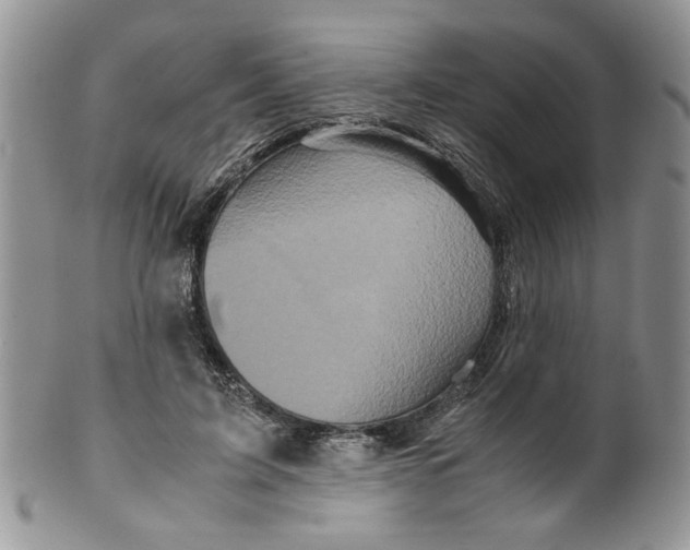 X0000099490595200806051100