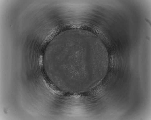 X0000099490598200806051100