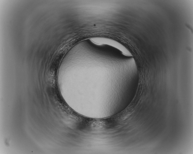 X0000099490599200806051100