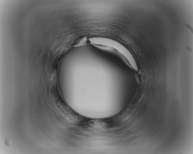 X0000099490601200806051100