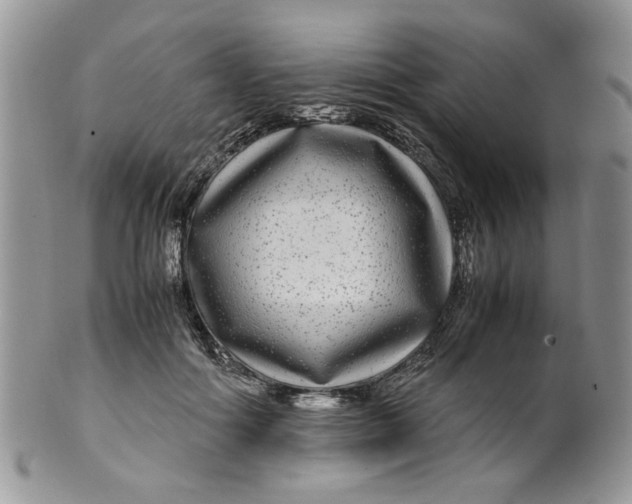 X0000099490602200806051100