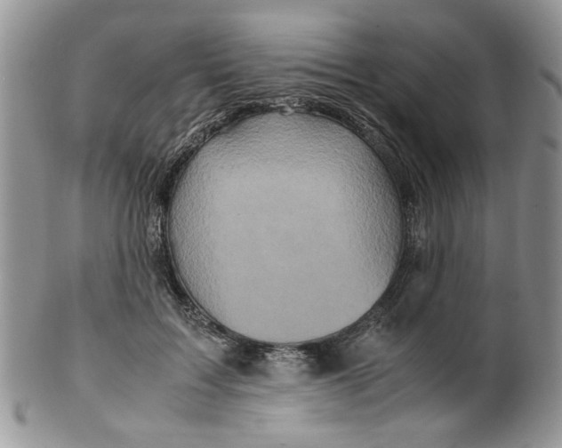 X0000099490603200806051100