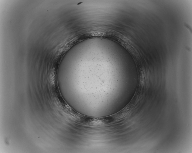 X0000099490604200806051100