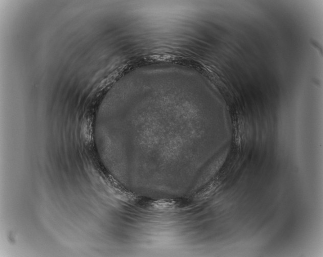 X0000099490606200806051100