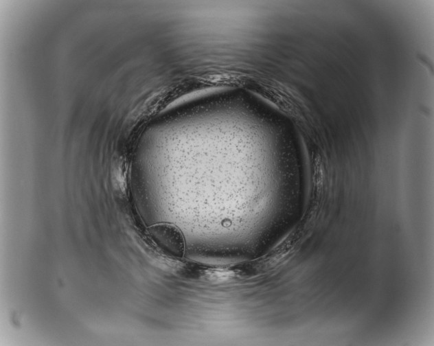 X0000099490607200806051100