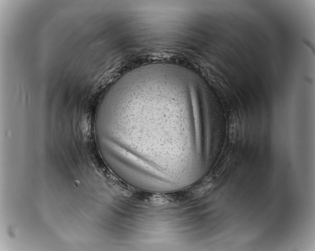 X0000099490608200806051100