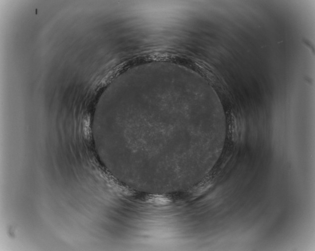 X0000099490610200806051100