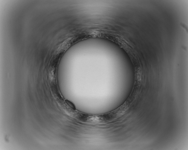 X0000099490611200806051100