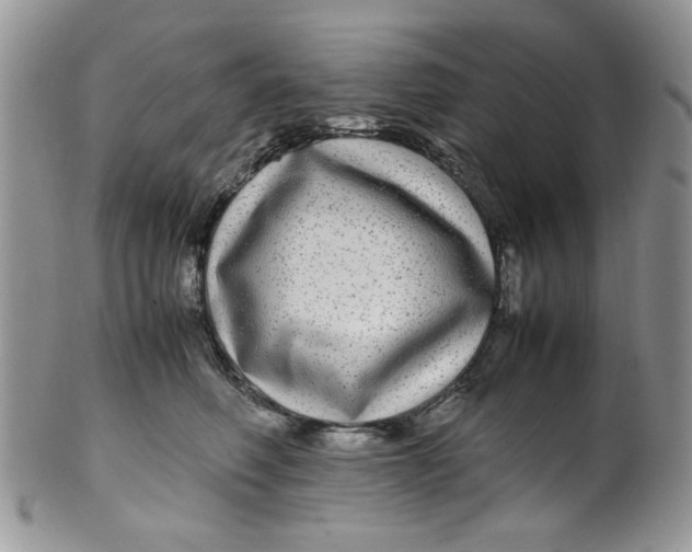 X0000099490614200806051100