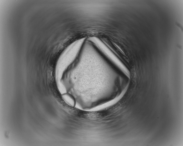 X0000099490615200806051100