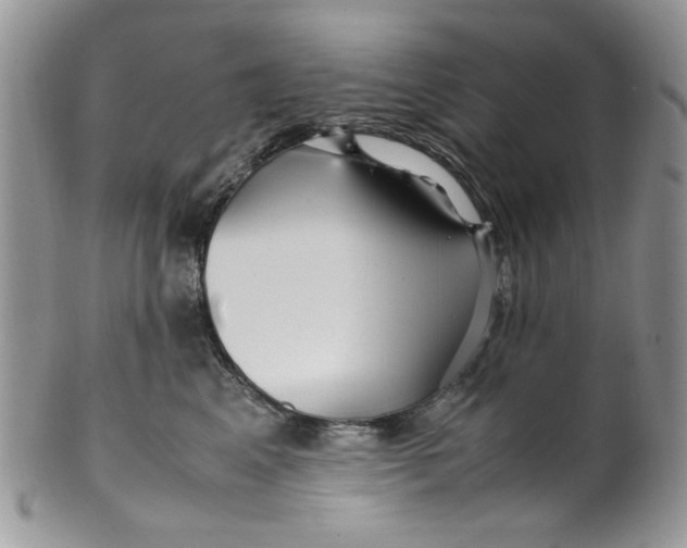 X0000099490617200806051100