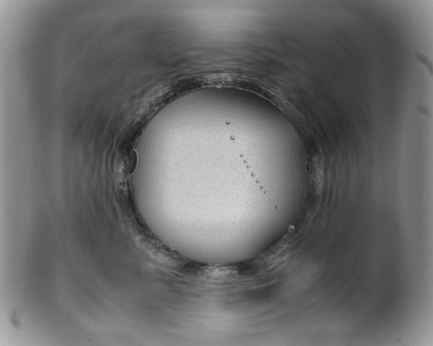 X0000099490619200806051100