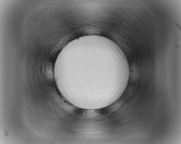 X0000099490622200806051100