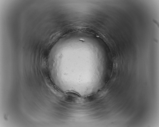 X0000099490623200806051100