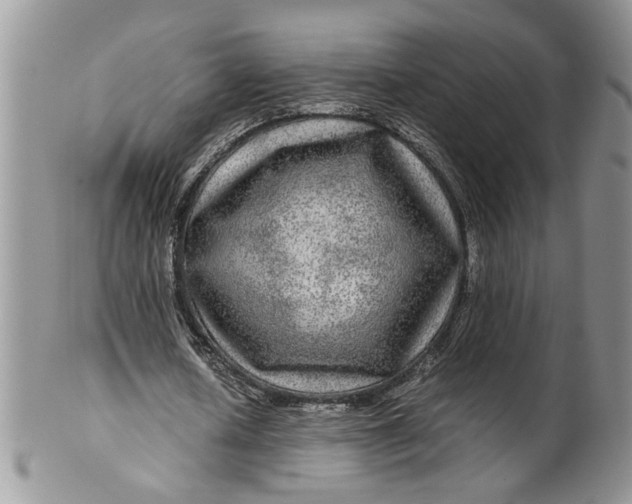 X0000099490626200806051059