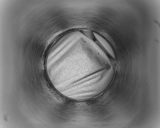 X0000099490628200806051059