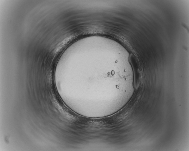 X0000099490629200806051059