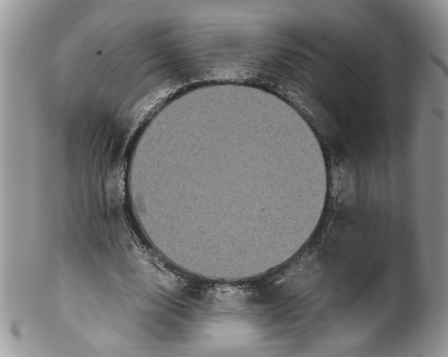 X0000099490632200806051059