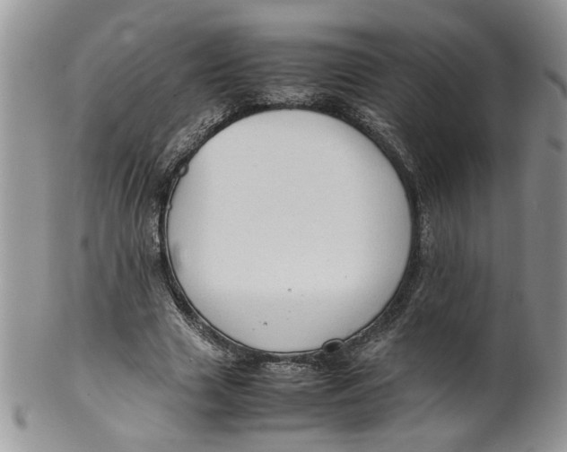 X0000099490633200806051059